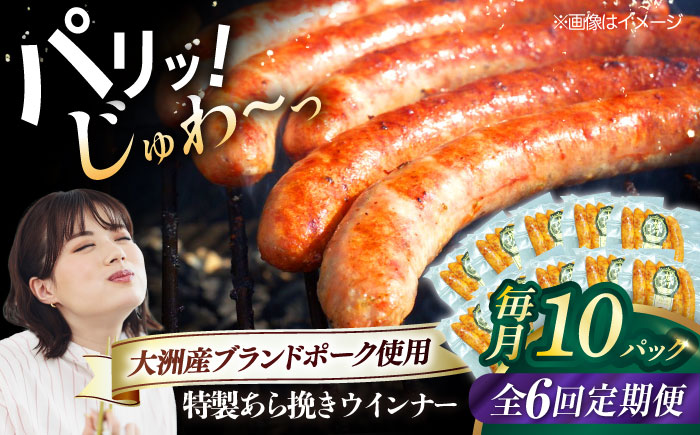 【全6回定期便】秒でプラスもう一品！ブランドポーク『オズの箱入り娘』使用！特製ウインナー（5本入り）×10袋 合計1200g 豚肉 小分け ベーコン プレゼント 愛媛県大洲市/株式会社オズメッセ [AGAZ080]