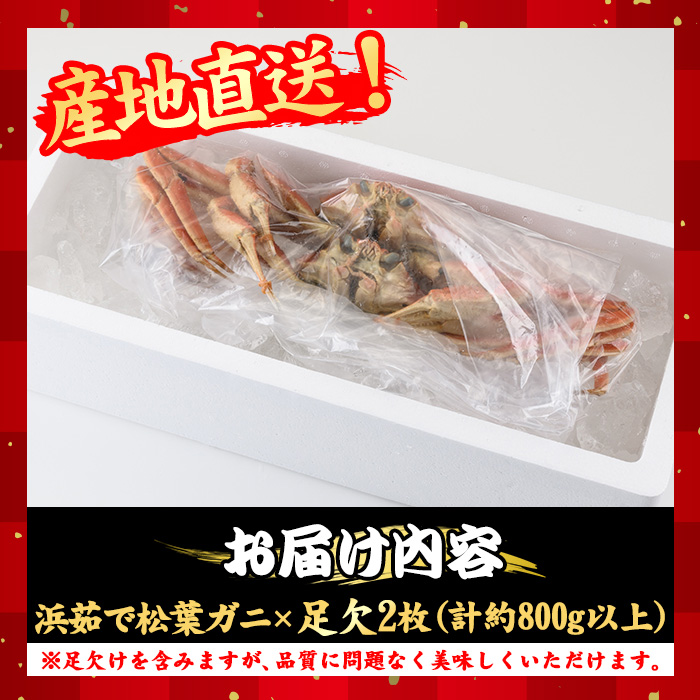 ＜土日祝着＞＜11月中旬～2月末発送予定＞浜茹松葉ガニ足欠(2枚/計約800g以上)【sm-BE001-B】【川口商店】