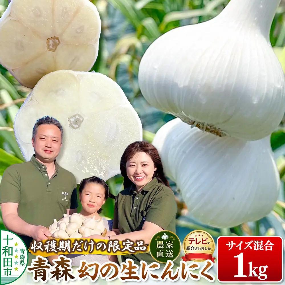 【2027年収穫分】先行受付【テレビ紹介】青森 幻の生にんにく1kg（農家直送・収穫期だけの限定品） 青森にんにくファーム