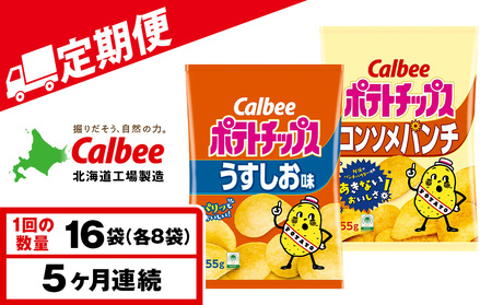 【定期便5カ月】カルビーポテトチップス 2種セット うすしお・コンソメパンチ 各8袋 《千歳工場製造》