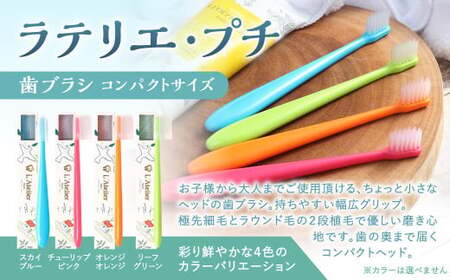 歯医者さんが考案した歯ブラシセット（ラテリエ×10本、ラテリエ・プチ×10本）【10006】 歯ブラシ ラテリエ 歯磨き はみがき マウスケア 健康