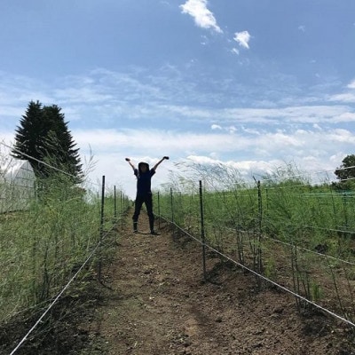 【発送月固定定期便】直送!【北海道の定番便】十勝ガールズ農場の野菜セレクション全3回【配送不可地域:離島】