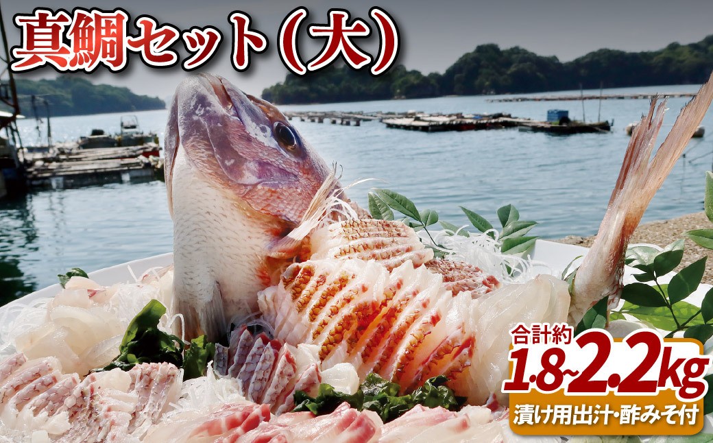 
                  九十九島産 真鯛 フィーレ 3枚 セット 1.8～2.2kg 下処理済 新鮮 産地直送  鯛 タイ 鮮魚 刺身  鯛鍋 鯛飯 鯛茶漬け 長崎県 佐世保市
                