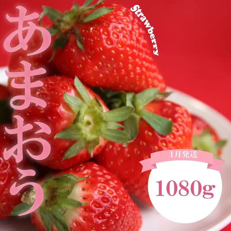 【2027年1月発送】 苺 あまおう 1080g (270g×4P) いちご ｜あまおう 福岡県産 福岡 川崎 OKI