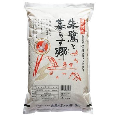 ふるさと納税 佐渡市 【令和7年産】佐渡産コシヒカリ「朱鷺と暮らす郷」5kg |  | 01