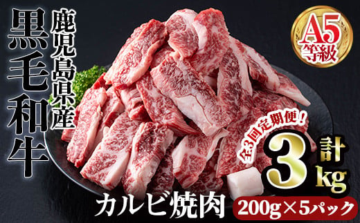 ＜【定期3回】200g×5パック×3回＞A5等級鹿児島県産黒毛和牛カルビ焼肉(計3kg・200g×5パック×3回) カルビ 焼肉 黒毛和牛【カミチク】T23-v01