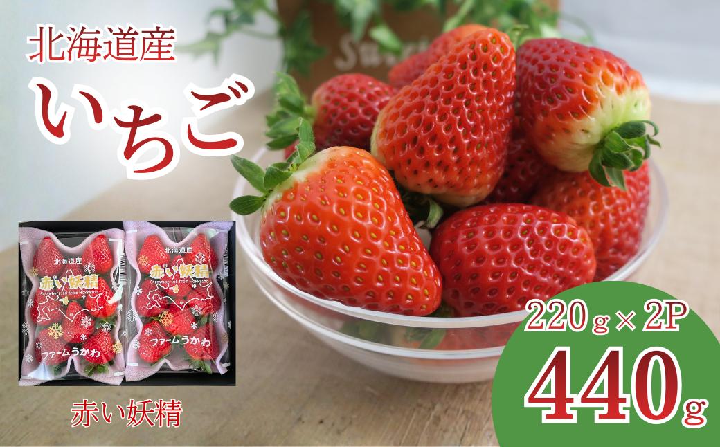 
もぎたて！ファームうかわの大粒いちご2パック　C060
