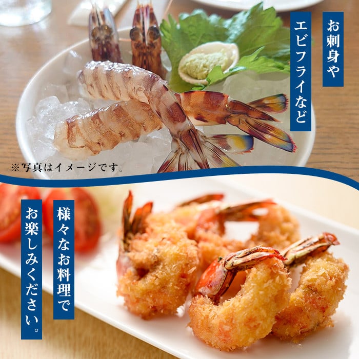 冷凍クルマエビ計1kg(25g×10尾×4袋) 国産 九州産 鹿児島産 魚介 魚 旬 鰤 ブリ ぶり ハマチ はまち 刺身 お刺身 海鮮丼 漬け丼 ブリ大根 ぶりしゃぶ しゃぶしゃぶ 鍋 お鍋 カマ 