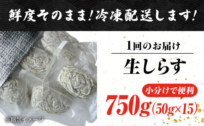 【全6回定期便】しらす 冷凍 シラス 小分け 干し 生しらすのプリッした食感と塩味が抜群！生しらす50g×15個 冷凍 シラス 鮮魚 ギフト 海鮮丼 広島県産 江田島市/三島水産株式会社 [XCN01