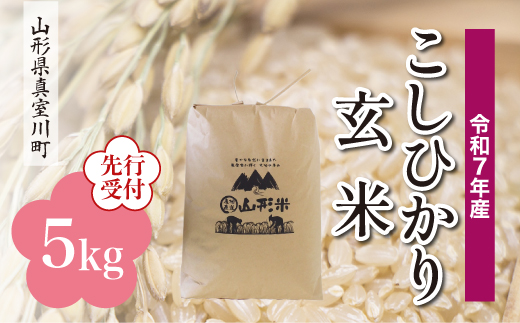 
            ＜令和7年産米先行受付＞ 真室川町産 こしひかり 【玄米】 5kg （5kg×1袋）＜配送時期指定可＞
          