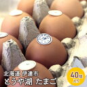 【ふるさと納税】北海道 伊達市 とうや 卵 40個 入り たまご　 鶏卵 食材 グルメ 食卓 エッグ 卵料理 卵かけごはん TKG 万能食材 ご飯のお供 朝食 朝ごはん 夜ごはん 夕飯