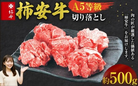 【指定日必須】柿安本店　三重　柿安牛　切り落とし約500g　黒毛和牛　国産　牛肉　赤身　厳選　上質　逸品　グルメ　すきやき　aa02