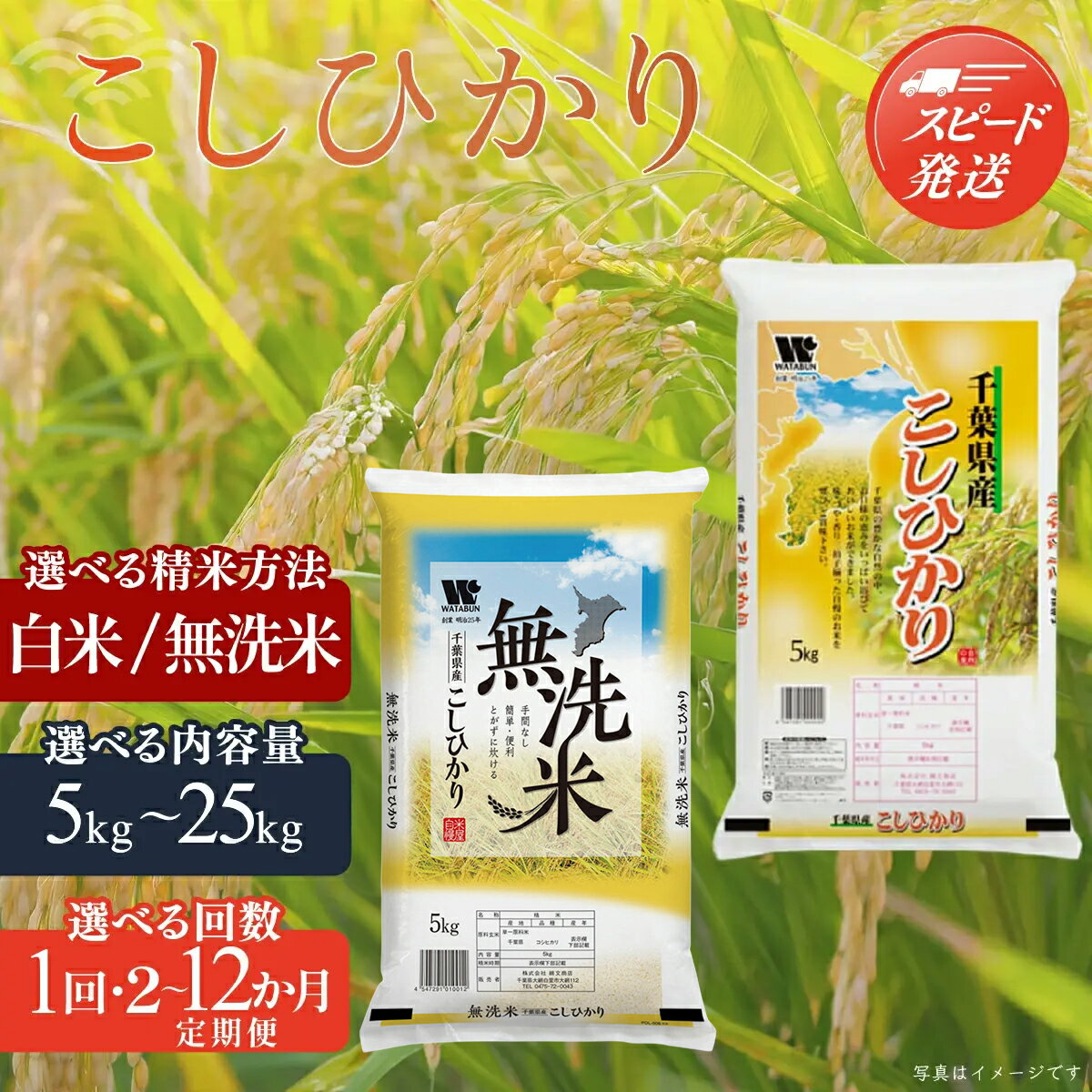 【ふるさと納税】【最短2～7営業日出荷】令和7年産 千葉県産「コシヒカリ」選べる精米方法・容量・回数（ 白米 無洗米 / 5kg 10kg / 1回 2回 3回 4回 5回 6回 7回 12回 ）お米 千葉県産 大網白里市 米 精米 こめ 白米 ご飯 千葉県産米