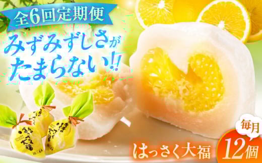 【全6回定期便】お菓子 はっさく大福12個入 お菓子 大福 八朔 柑橘 みかん オレンジ 餅 ギフト お取り寄せ スイーツ フルーツ大福 ご当地 菓子 おかし デザート 食品 人気 おすすめ 広島県福山市/株式会社虎屋本舗[BADH015]