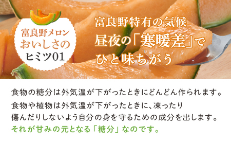 メロン 富良野産 訳あり メロン【約4kg 2～4玉】富良野メロン