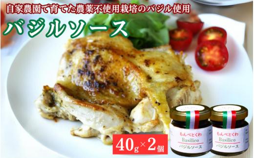
                  手作りバジルソース　40g×2個 / バジル ソース パスタ 手作り 料理 アレンジ 自家農園 農薬不使用栽培 万能ソース 和歌山 龍神 【mpt001】
                