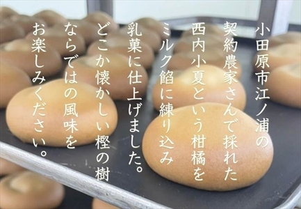 西湘菓子工房樫の樹　乳菓万頭小田原小夏16個入りギフト 【 お菓子 スイーツ 神奈川県 小田原市 】