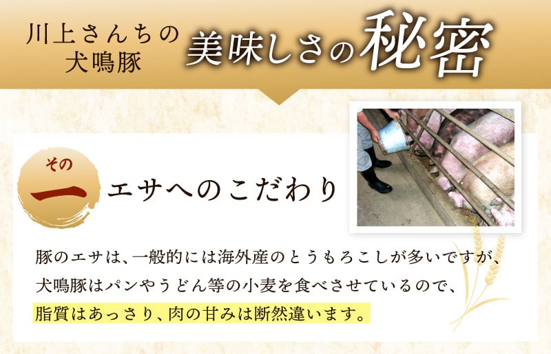 【期間限定】犬鳴豚 ロースステーキ  カツ用 800g以上＋手作りプレミアムハンバーグ（2個入り）【国産 豚肉 泉佐野ブランド豚 犬鳴ポーク】
