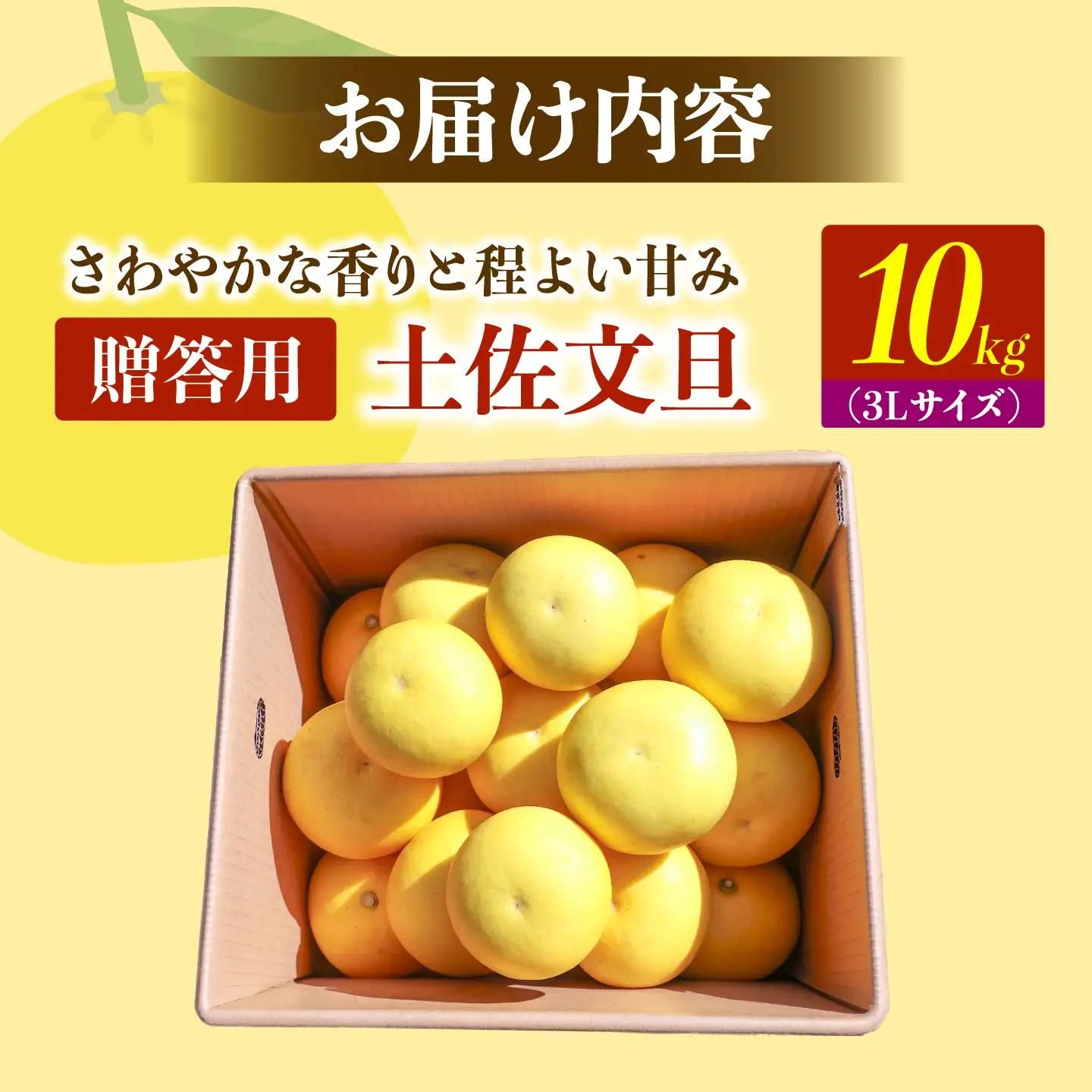 【先行予約】土佐文旦の創始 宮地文旦園の土佐文旦 贈答用3L 大玉 約10キロ 16～19個入り 10kg〈2027年3月上旬～4月下旬〉 高知県 土佐市【宮地文旦園】[BQBP007]