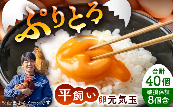 平飼い新鮮たまご 元気玉 計40個(10個×4パック) / 卵 ぷりぷり 新鮮 玉子 オムレツ たまごかけごはん 朝食 鶏卵 タンパク質 平飼い 濃厚 こく 熊本県 菊陽町【ぴよっこファーム】 [BHAP002]