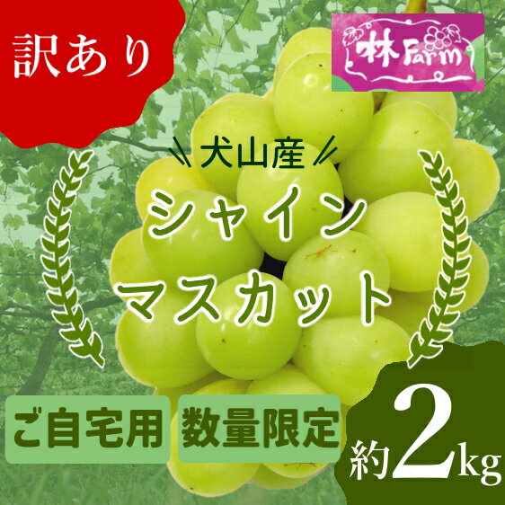 【ふるさと納税】【期間限定・数量限定】訳あり犬山産シャインマスカット 約2キロ ｜ ぶどう 甘い 2キロ 限定 夏 林ファーム 房 ブドウ 中玉 犬山 ご自宅用 贈答 贈り物 プレゼント ご褒美 小粒 シャインマスカット 種なし 皮ごと