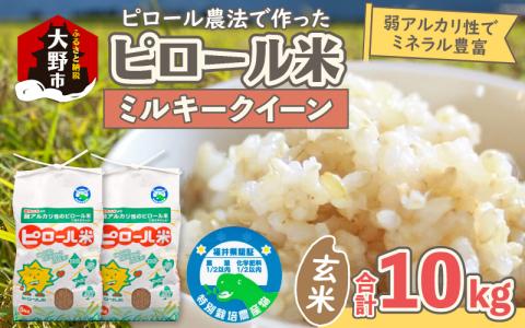 先行予約】【令和6年産 新米】ミネラル豊富！弱アルカリ性のピロール米 ...