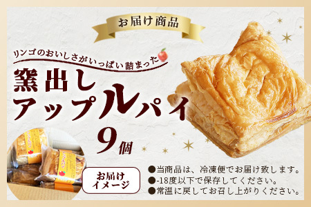  窯出しアップルパイ９個入り  B-413
