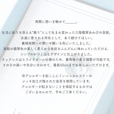 ふるさと納税 南相馬市 iriser (イリゼ) maru ピアス ah009-aa |  | 01