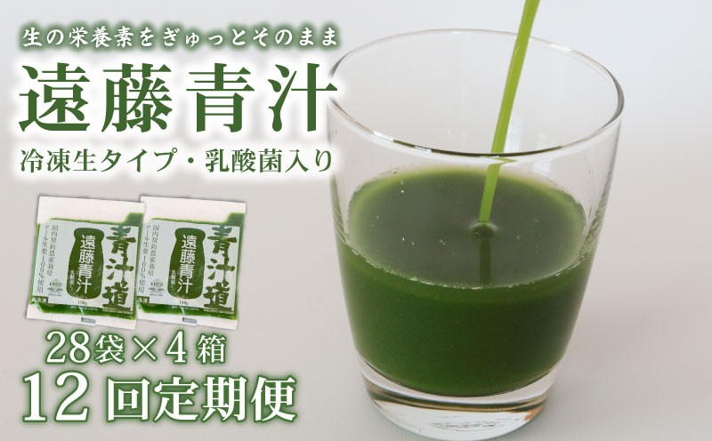 
            【12ヶ月定期便】 遠藤青汁 【生】 冷凍 4箱 11.2kg(100g×112袋) | 健康 美容 乳酸菌 国産 ケール ビタミン ミネラル 食物繊維 冷凍 ロングセラー お試し青汁 遠藤青汁 新鮮 高知県 南国市
          