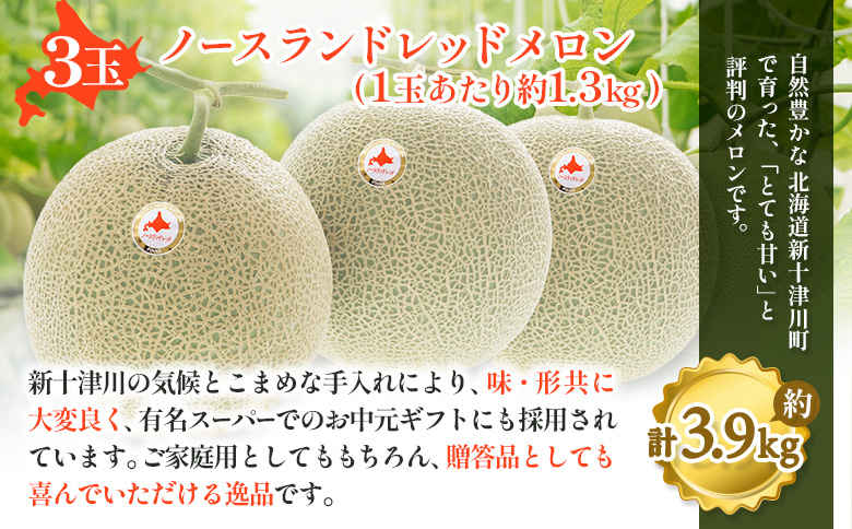 【先行予約】【数量限定】 赤肉メロン3玉【令和8年7月~8月上旬発送】【12032】