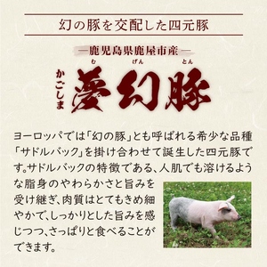 2773 かごしま夢幻豚餃子 12個×5P KN021-037-01 餃子 ギョーザ ぎょうざ 人気 ジューシー 四元豚 ブランド 夢幻豚 鹿屋 財宝 ふるさと納税 鹿児島 鹿屋市 おすすめ ランキン
