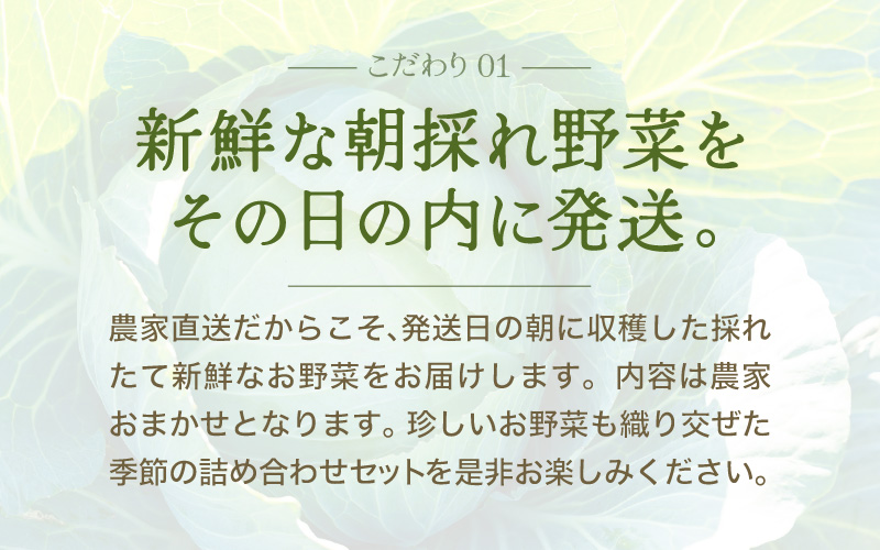 【先行予約】農家直送 冬野菜セット 1箱 7品目以上 《元気に育った新鮮野菜！》※2026年12月上旬以降発送 [aw028-a011]