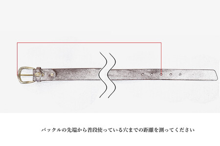 イタリアンレザーベルト　ダークブラウン 172-022-DB | 革製品専門店 Bottega Glicine イタリアンレザー ベルト 天然素材 本革 レザー 職人 革 おしゃれ ファッション 笛吹