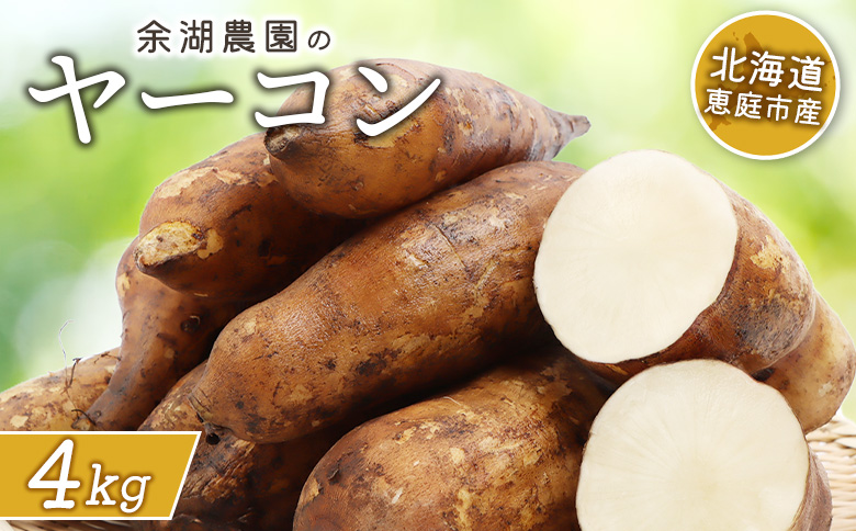 北海道恵庭市産 余湖農園のヤーコン4kg | オンライン申請 ふるさと納税 北海道 恵庭 ヤーコン 4kg 貴重 野菜 根菜 サラダ きんぴら 天ぷら 食物繊維 ポリフェノール ダイエット 健康 お取り寄せ ワンストップ マイページ 余湖農園 恵庭市【31001401】