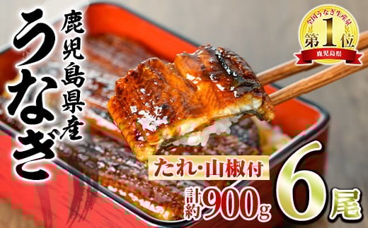 
            ＜発送時期が選べる＞東串良町のうなぎ蒲焼(無頭)(6尾・計約900g・タレ、山椒付) うなぎ 高級 ウナギ 鰻 国産 蒲焼 蒲焼き たれ 鹿児島 ふるさと 人気 【アクアおおすみ】
          