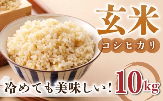 玄米10kg（5kg×2袋）冷めても美味しいコシヒカリ【小田農園】　　｜最短4〜7日程度でお届け　※着日指定不可