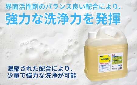 中性洗剤 業務用 牛丼チェーン松屋フーズで使用 5kg×1本 | 洗剤