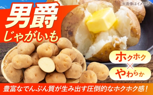 じゃがいも 男爵芋 10kg | じゃがいも ジャガイモ 男爵芋 野菜 季節の野菜 北海道 産地直送 先行予約 | 株式会社Aコープようてい [BPAT002]