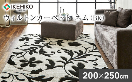 ウィルトンカーペット ネム 200×250ｃｍ ＢＫAA447
