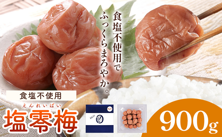 塩零梅 梅干し 紀州南高梅 食塩不使用 有限会社プラム 900g 《30日以内に出荷予定(土日祝除く)》和歌山県 日高町 送料無料 梅 うめ ウメ 南高梅 紀州---wsh_plm15_30d_25_14000_900g---