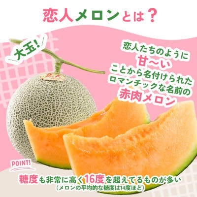 【期間限定 数量限定】熊本県 美里町 「恋人メロン」 赤肉メロン 約1.4kg(1玉)【上田農園】【1680907】