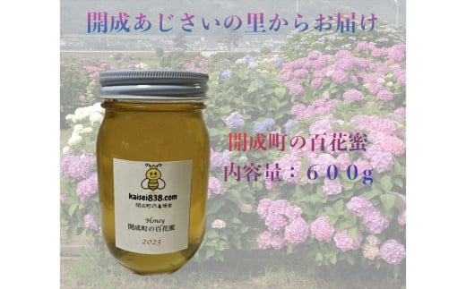 
【開成あじさいの里からお届け】開成町の百花ミツ　６００ｇ【 神奈川県 開成町 】
