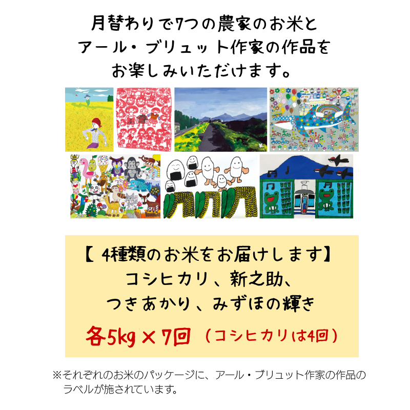 令和7年産 新潟県産 米 5kg 5キロ 食べ比べ 7回 定期便 コシヒ