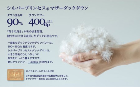 【訳あり】羽毛布団 シングル マザーダックダウン90% 1.2kg (色柄おまかせ) [JDH063]