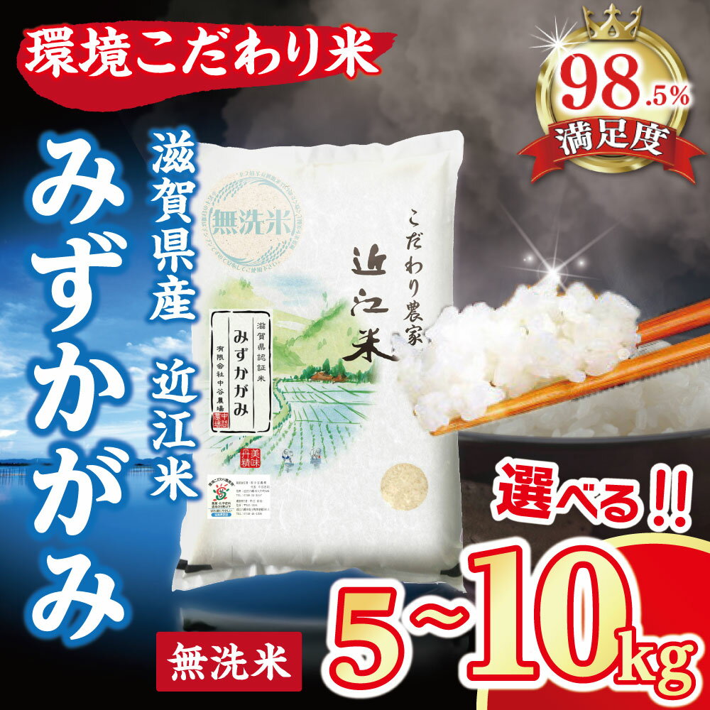 【ふるさと納税】令和7年産 近江米 環境こだわり米 みずかがみ 無洗米 5kg ／ 10kg 選べる 国産 滋賀県 米 中谷農場