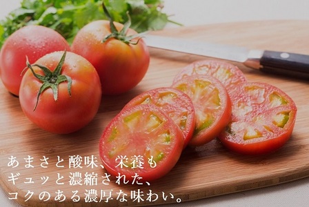 2B4アメーラトマト