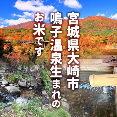 ふるさと納税 大崎市 【令和7年産】宮城県大崎市産 ゆきむすび 5kg |  | 01
