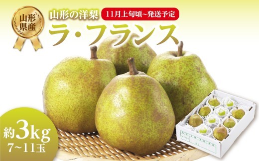
                  《先行受付》ラフランス 約3kg （7～11玉） 【2026年11月上旬頃～発送予定】【山形洋梨】 【001-081】
                