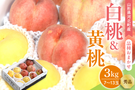 【令和7年産】白桃&黄桃 3kg(7～13玉前後) ギフト用 品種おまかせ 山形県河北町産【山形eLab】ka074-017