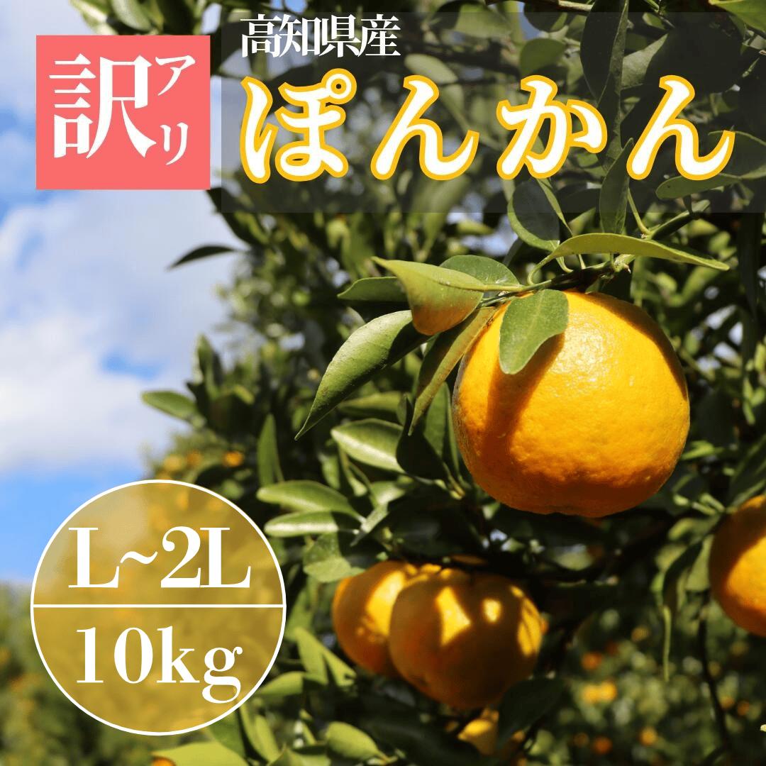 
            TM004 徳村の訳アリぽんかん L〜2Lサイズ＜g・サイズが選べる＞国産 東洋町産 甘い コク ジューシー 果肉 高知県 東洋町 四国 お取り寄せ フルーツ 果物 家庭用 自宅用 送料無料
          
